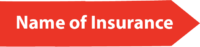 Name of Insurance